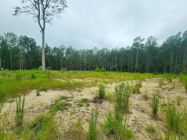 139 Rayburn Reserve Dr, Jasper, TX 75931 - photo 4