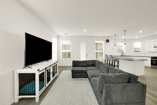 living room featuring wood-type flooring and sink