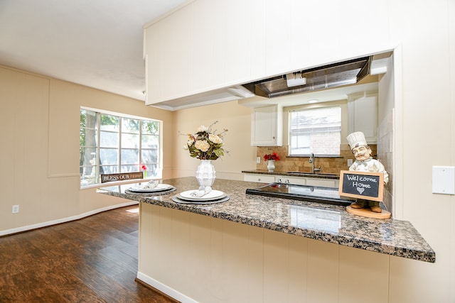 kitchen featuring decorative backsplash, dark stone countertops, dark hardwood / wood-style floors, and plenty of natural light