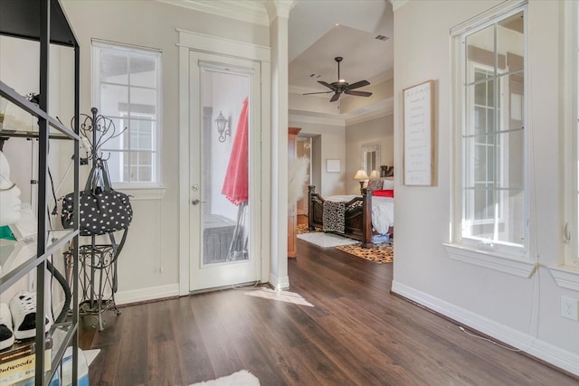 foyer featuring ceiling fan, crown molding, and dark wood-type flooring