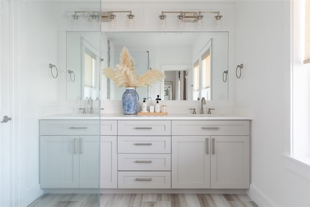 bathroom with vanity and hardwood / wood-style flooring