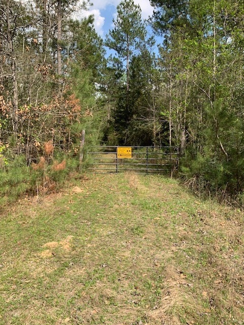 967 County Rd, Goodrich TX, 77335 land for sale