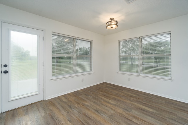 interior space featuring dark hardwood / wood-style floors and a wealth of natural light