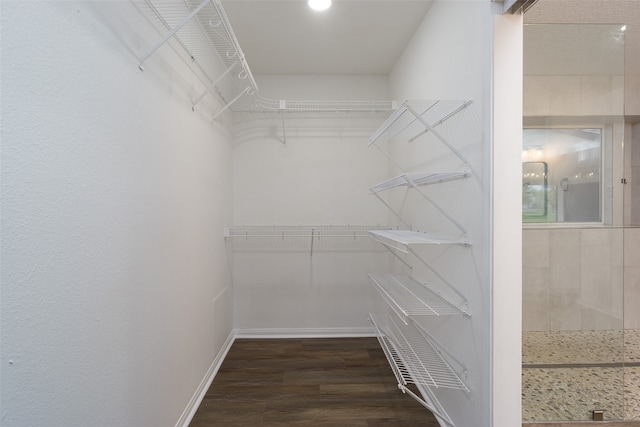 walk in closet featuring dark hardwood / wood-style flooring