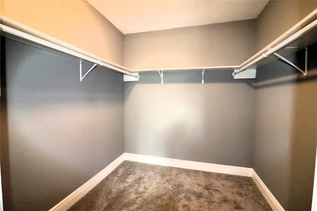 walk in closet with carpet