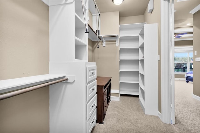 spacious closet with light carpet