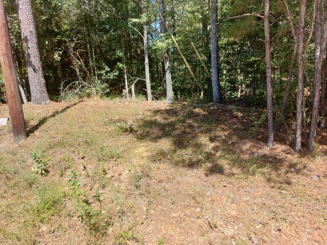 0 Hawthorne Rd, New Waverly, TX 77358 - photo 5