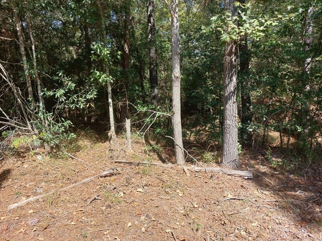 0 Hawthorne Rd, New Waverly, TX 77358 - photo 6