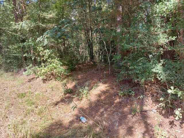 0 Hawthorne Rd, New Waverly, TX 77358 - photo 7