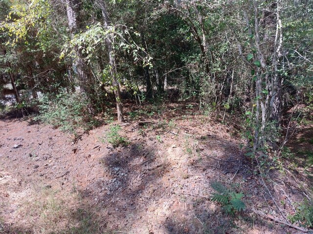 0 Hawthorne Rd, New Waverly, TX 77358 - photo 9