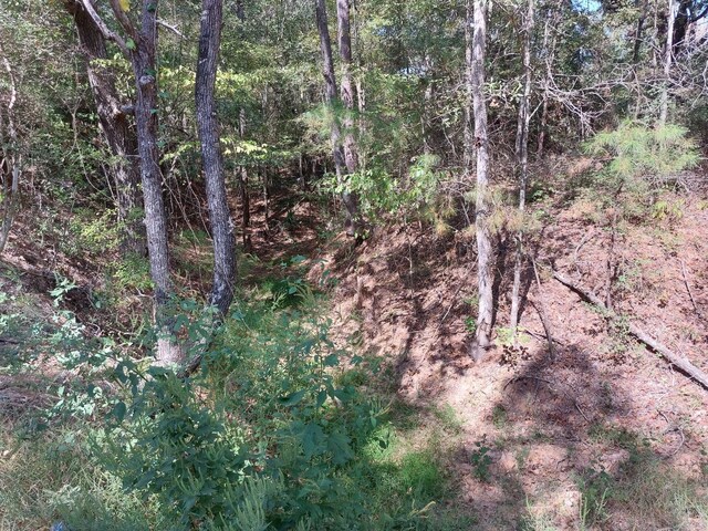 0 Hawthorne Rd, New Waverly, TX 77358 - photo 11