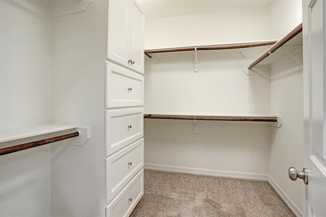 walk in closet featuring light colored carpet