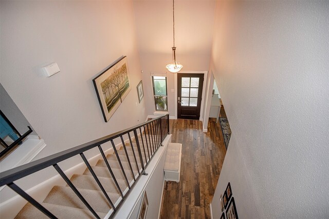 entryway featuring dark hardwood / wood-style flooring