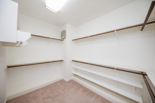 walk in closet featuring light colored carpet