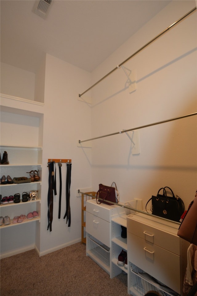 spacious closet with carpet floors