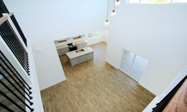 interior space featuring wood-type flooring and a towering ceiling