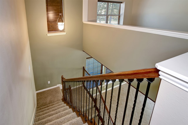 staircase with carpet floors