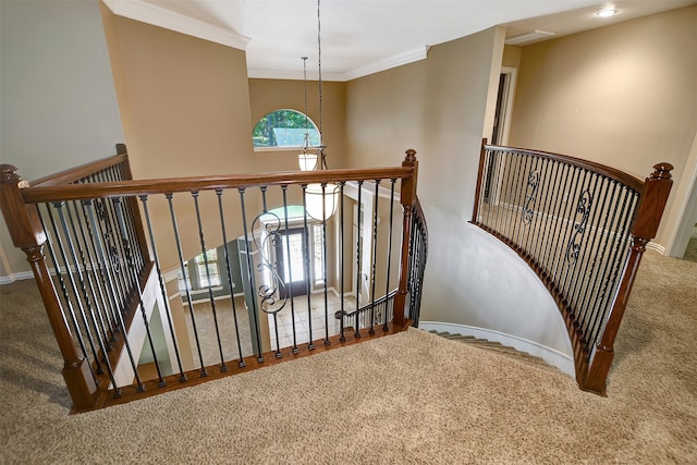 stairway featuring ornamental molding, carpet flooring, and an inviting chandelier