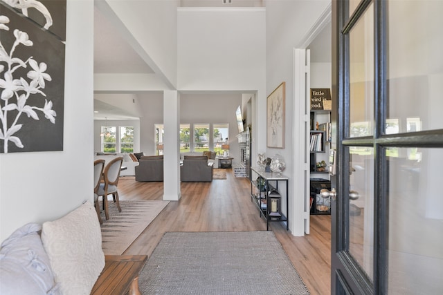 entrance foyer with hardwood / wood-style floors and a towering ceiling