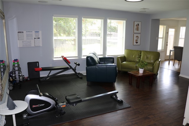 workout room featuring dark wood-type flooring