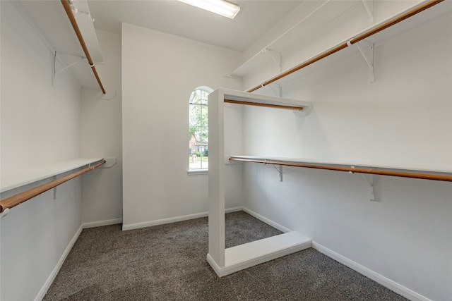 walk in closet featuring dark carpet