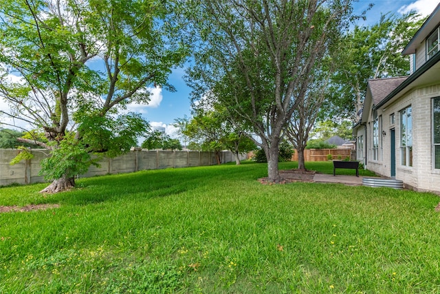 view of yard with a patio