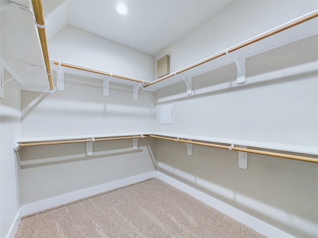 spacious closet featuring light colored carpet