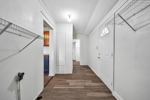 walk in closet featuring dark hardwood / wood-style flooring