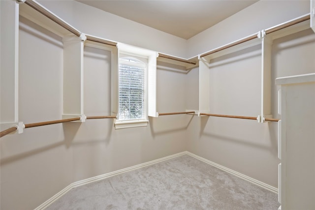 spacious closet with light carpet