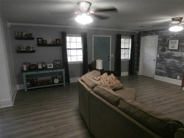 living room featuring ceiling fan, crown molding, and dark wood-type flooring