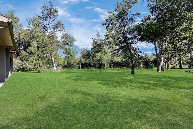 15 Bees Creek Ct, Missouri City, TX 77459 - view of grassy yard