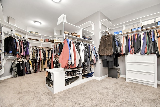 15 Bees Creek Ct, Missouri City, TX 77459 - spacious closet featuring carpet floors