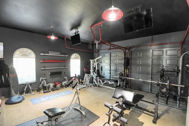 15 Bees Creek Ct, Missouri City, TX 77459 - exercise room with a garage