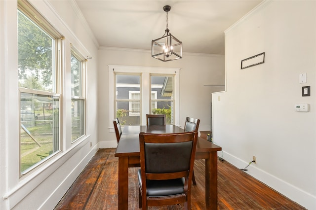 dining space featuring ornamental molding, a healthy amount of sunlight, and dark hardwood / wood-style flooring