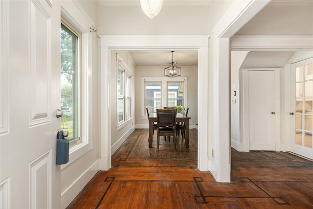 entrance foyer featuring ornamental molding and dark wood-type flooring