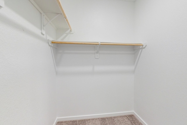 spacious closet featuring carpet flooring