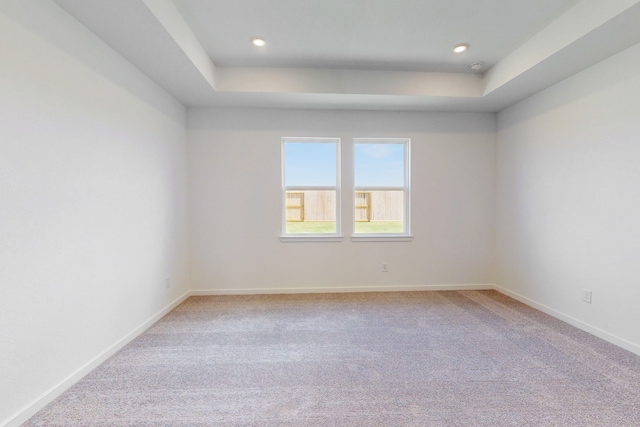 spare room with a raised ceiling and light colored carpet