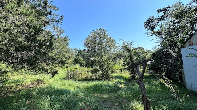 view of local wilderness