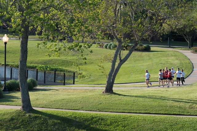 view of community with a yard