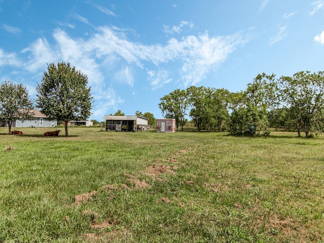 view of yard with a storage shed and a rural view