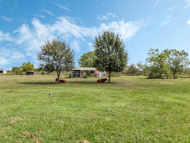 view of yard featuring a rural view