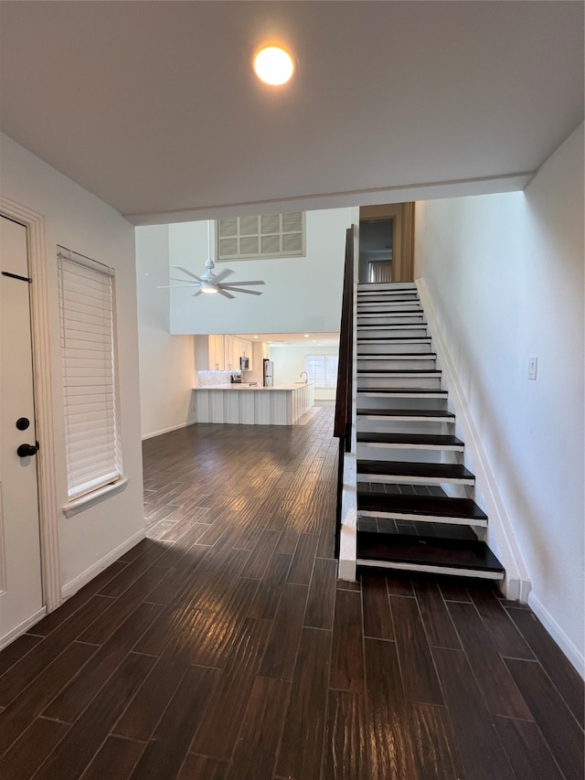 staircase with ceiling fan and hardwood / wood-style flooring