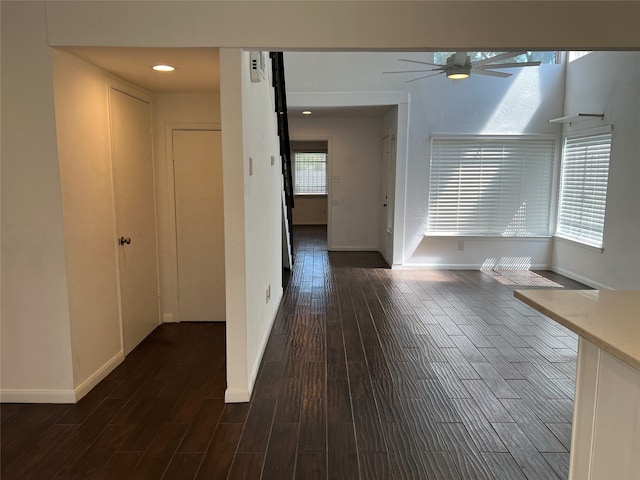 corridor featuring dark hardwood / wood-style floors and a healthy amount of sunlight