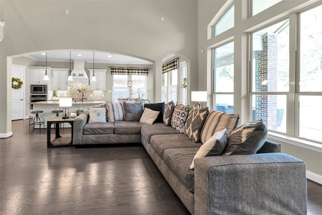 living room featuring a towering ceiling, a healthy amount of sunlight, dark hardwood / wood-style floors, and ornamental molding