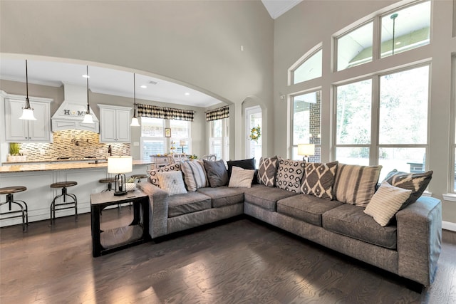 living room with plenty of natural light, dark hardwood / wood-style flooring, and crown molding