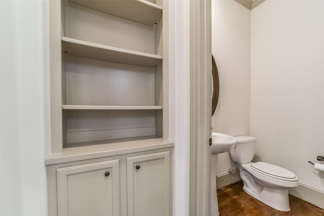 bathroom with wood-type flooring and toilet