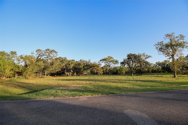 Listing photo 3 for 839 Cross Timbers Dr, Rosharon TX 77583