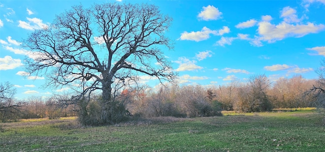 TBD Davis Rd, Huntsville TX, 77320 land for sale