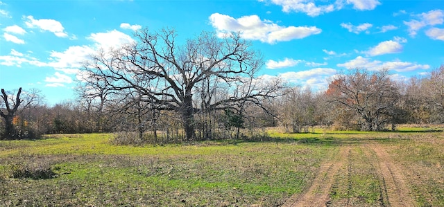 Listing photo 3 for TBD Davis Rd, Huntsville TX 77320