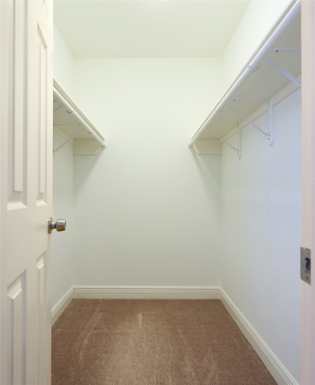 walk in closet with carpet floors